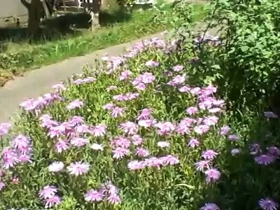 J. Under the Valley - The Song of Hope - Original