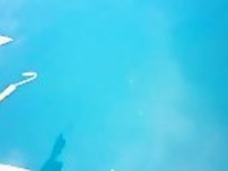 Shark Steals Caught Fish