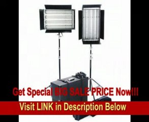 ALZO Dimmable Video Pan-L-Lite 2 Light Quad Kit w/cases REVIEW