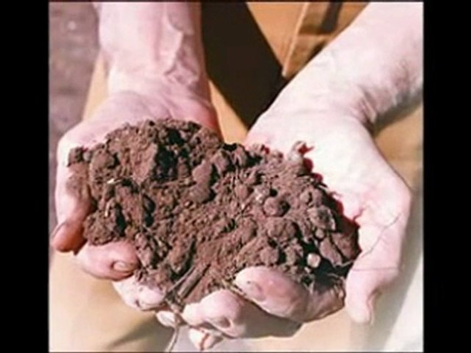 MELLE NURULLAH GEL YÖNEL MEVLAYA