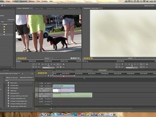 Présentation du "chutier" de Première Pro