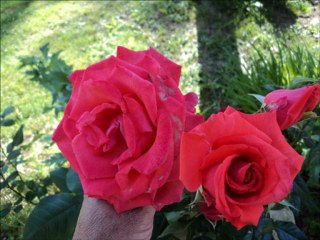 2012 une bonne année