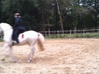 Mario séance du 31.10.12