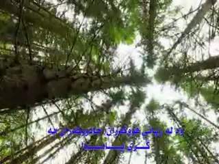 سعود الشریم - سوره‌تی الفلق - ته‌فسیری كوردی