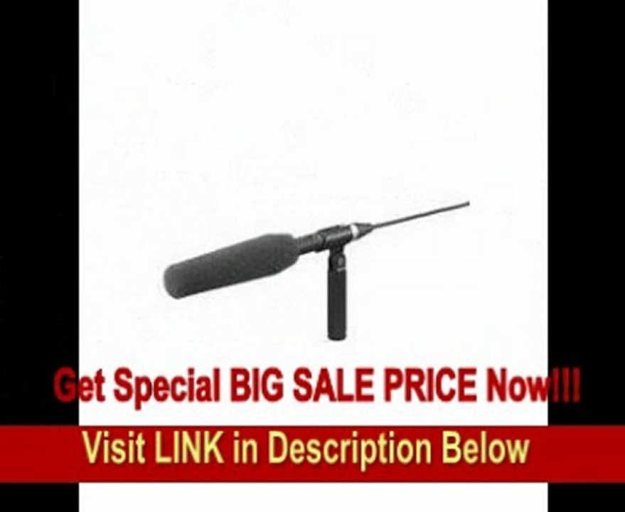 Sony ECM-680S MS Stereo Shotgun Microphone, 50 Hz to 20 kHz Frequency Response REVIEW