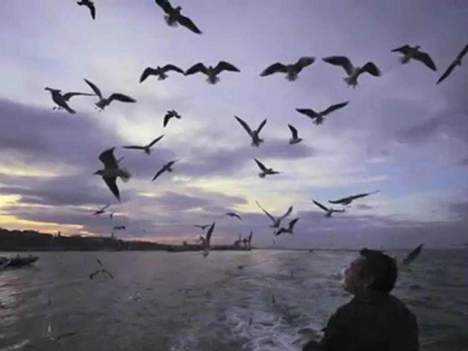 Ederlezi (Goran Bregovic) Salve Jorge Trilha Sonora Istambul