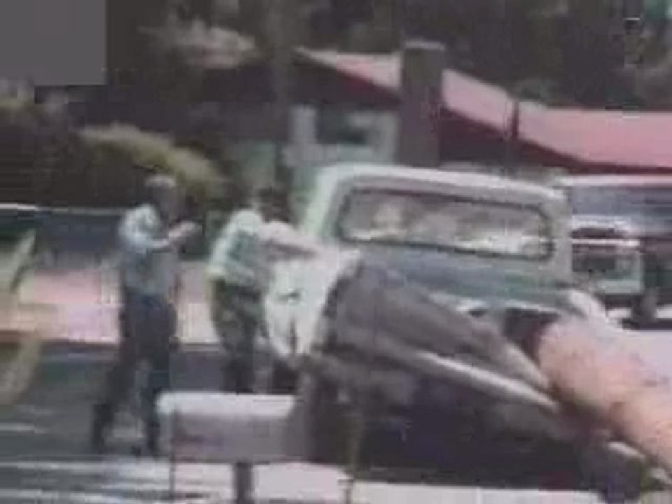 un albero mentre viene tagliato cade ad adosso una macchina distrungendola