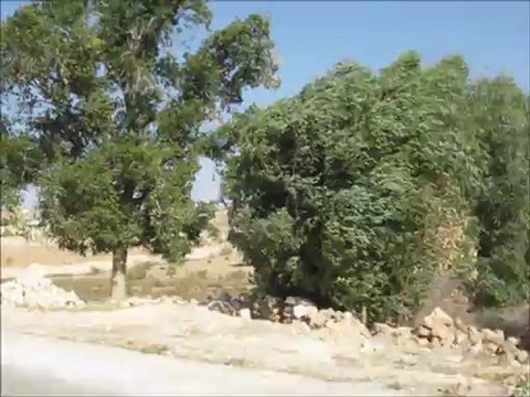 Mon film MARRAKECH septembre 2012 (16) - Route du retour à Marrakech