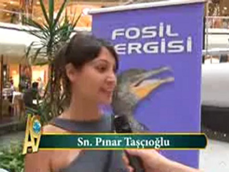 İNSANLAR EVRİME İNANMIYOR - 27