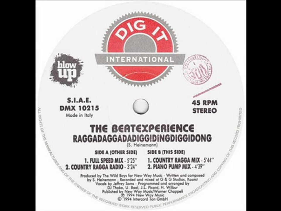 The Beat Experience - Raggadaggadadiggidingdiggidong (Country Ragga Mix)