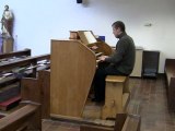 I'll sing a hymn of Mary - Chris Lawton at St Peter & St Paul Catholic Church, Lichfield