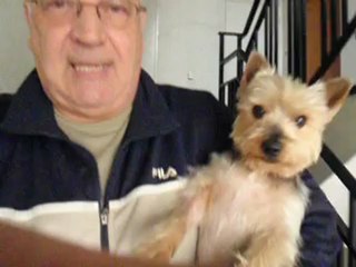 rupture de ligament croisé