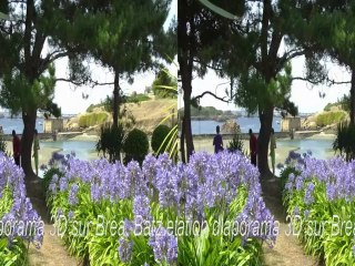 FILM PHOTO 3D ANGERS