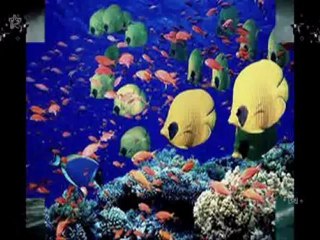 Sửa chữa vòi sen,ống gen tại quận 3 tphcm call 0907 323 053