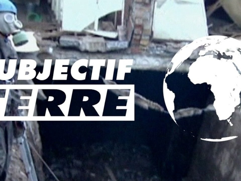 Subjectif Terre - Episode 5 : Big Brother à Seattle, Coréens en panique et toilettes de la mort