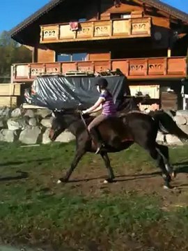 Chute en obstacle avec mon cheval!!