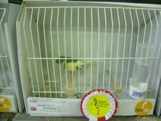 05-11 Kasım 2012 İSTANBUL ENTERNASYONAL YARIŞMASI