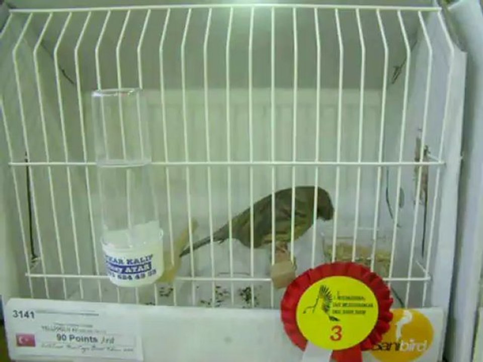 05-11 Kasım 2012 İSTANBUL ENTERNASYONAL YARIŞMASI