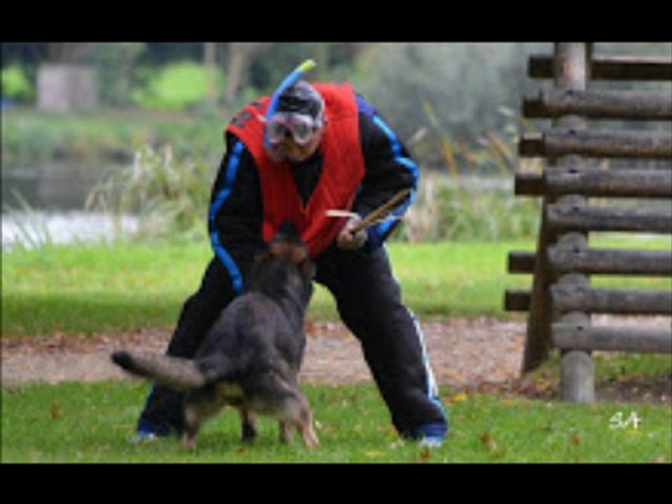 Finale Campagne le 13 et 14 Octobre 2012 de BALTIK à  ETAMPES(91)