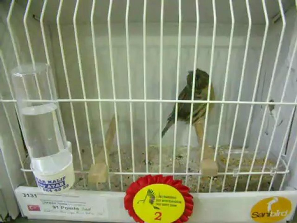 05-11 Kasım 2012 İSTANBUL ENTERNASYONAL YARIŞMASI