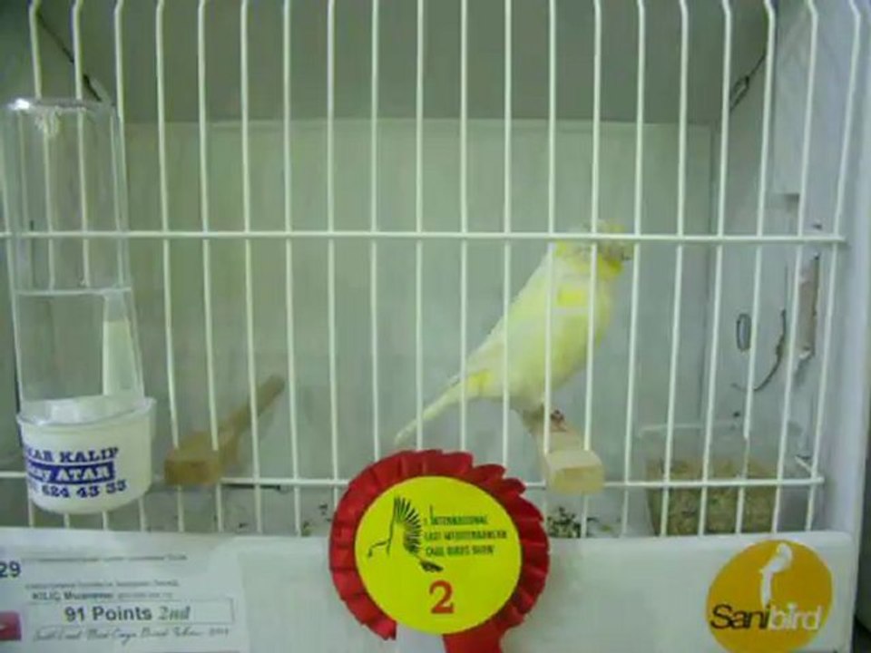 05-11 Kasım 2012 İSTANBUL ENTERNASYONAL YARIŞMASI