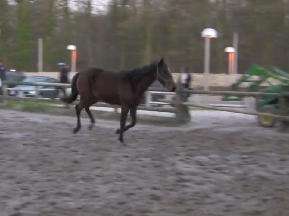 Athéna allures et saut