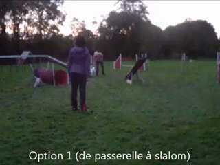 Eclipse ECV Gabi Steppan 2012-11-10 quelques réussites