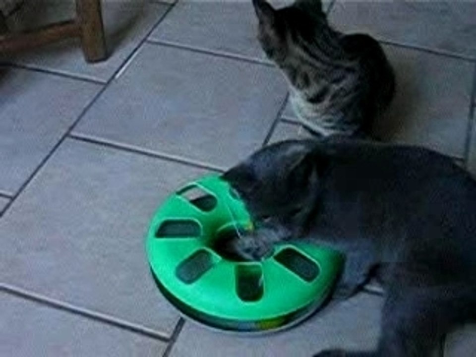 Attrapons la souris...