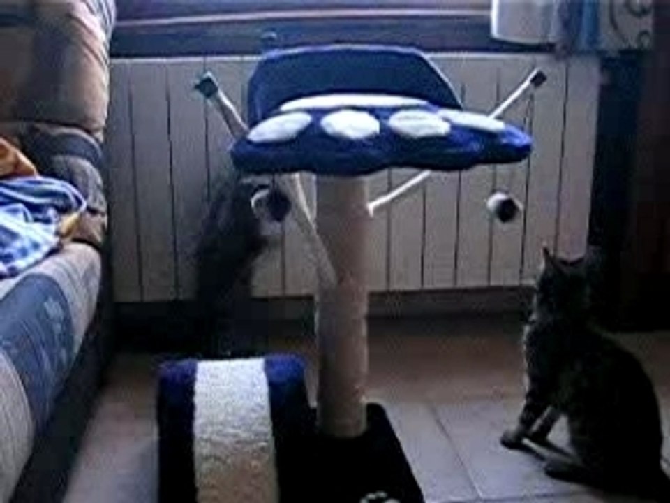 Chouette un nouveau jeu...