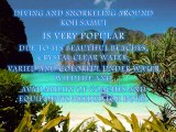 diving and snorkeling around koh samui