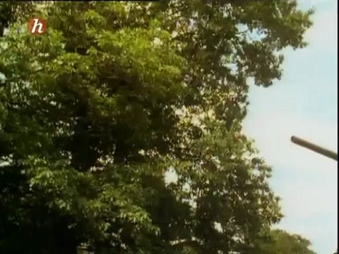 Les chars - les armes de la 2éme guerre mondiale