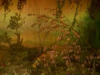 CANDAN ERÇETİN NAR ÇİÇEĞİ