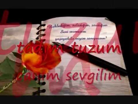 doğum günün kutlu olsun...- tuğba özerk -