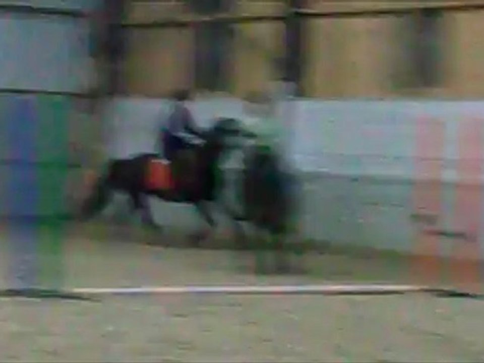 Tougue 9.11.12