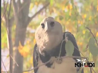 Bayer 2012 Final-con-2