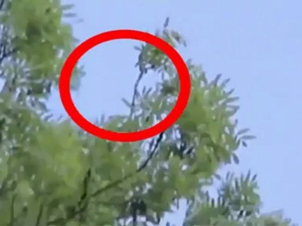 UFO . CANADA. 2012
