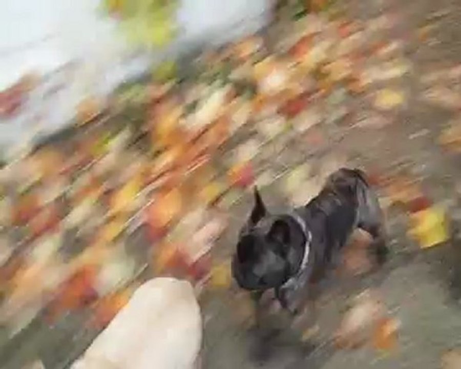 Jack et sa maman le 10 novembre 2012 P1050280