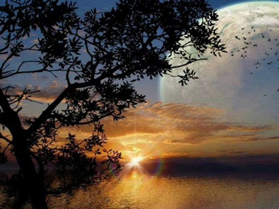 Moonlight sonata...(Ernesto Cortazar)
