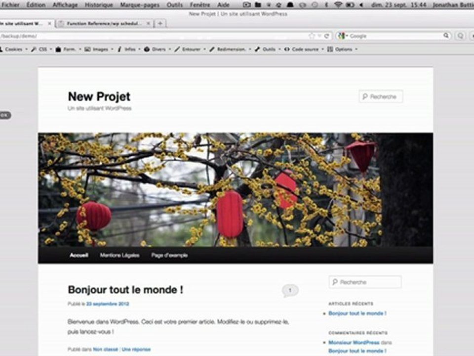 Tuto vidéo WordPress : Faire un backup des fichiers d'un site sans plugin