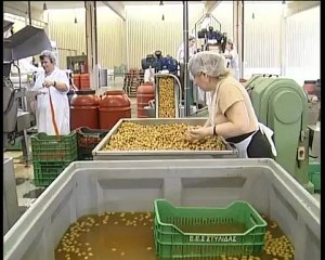 Ο υπουργός αγροτικής ανάπτυξης απαντά για την τιμή της ελιάς φέτος