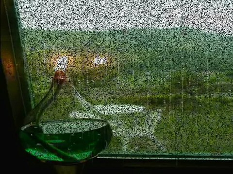 Emel Sayın & Timur Selçuk - Beni Kör Kuyularda Merdivensiz Bıraktın