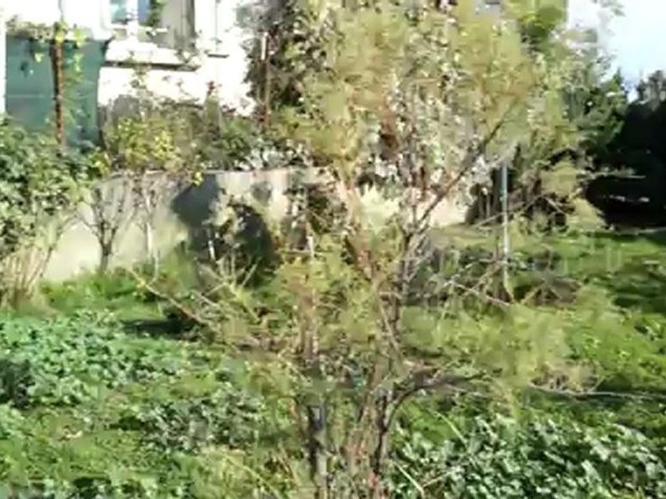 Nov2012 in the garden