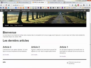 Créer une page d'accueil optimisée pour wordpress