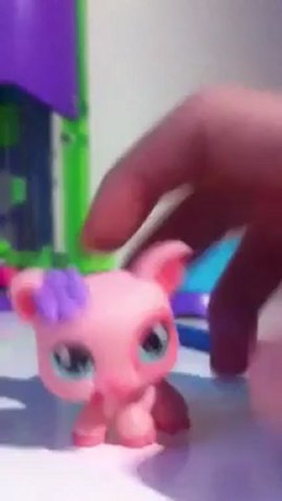 petshop