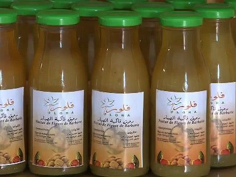 L'huile de figue de barbarie, le nouvel or vert du Maroc?