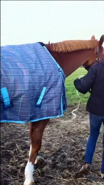 Snador retour Pontchateau