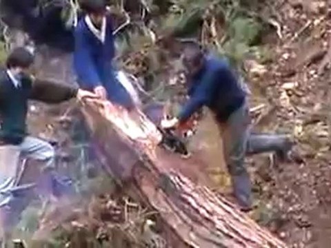 HES nedir, ne işe yarar, nasıl çalışır