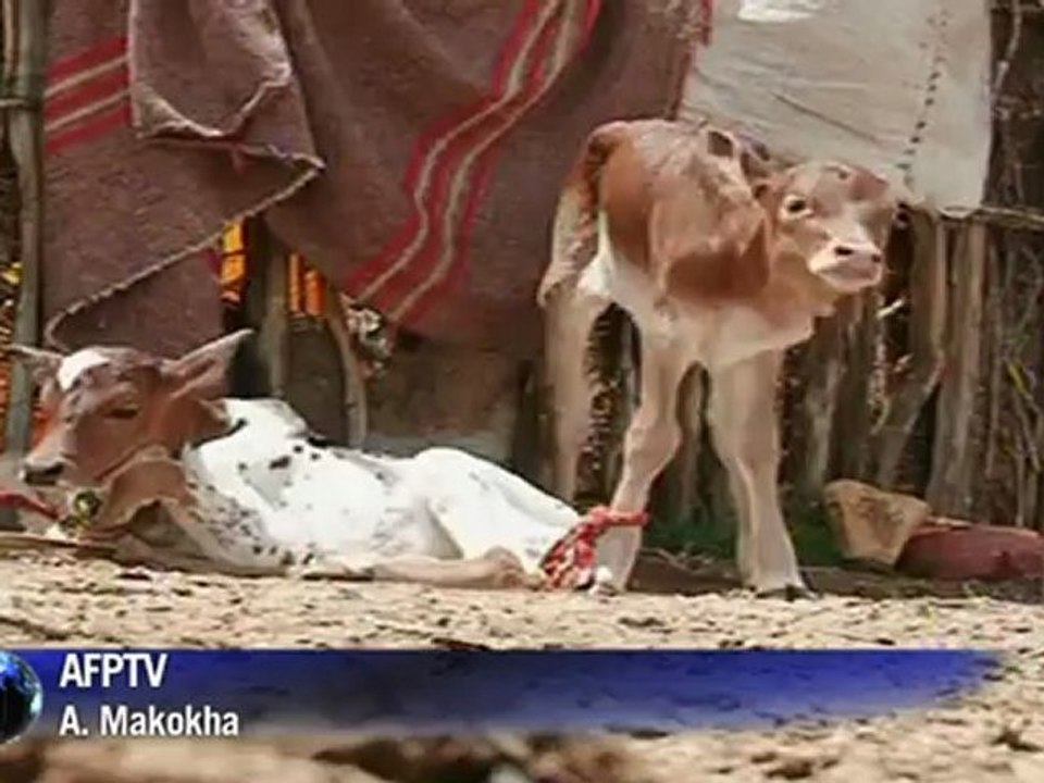 Kenyan police officers killed in ambush