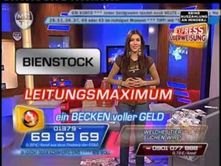 Scampis des Insekt im Bienenstock VIVA 18.11.07