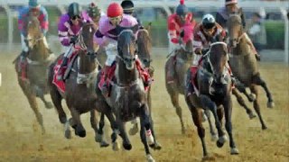 Horse Betting - Proven - Ridiculous Conversion Rate374